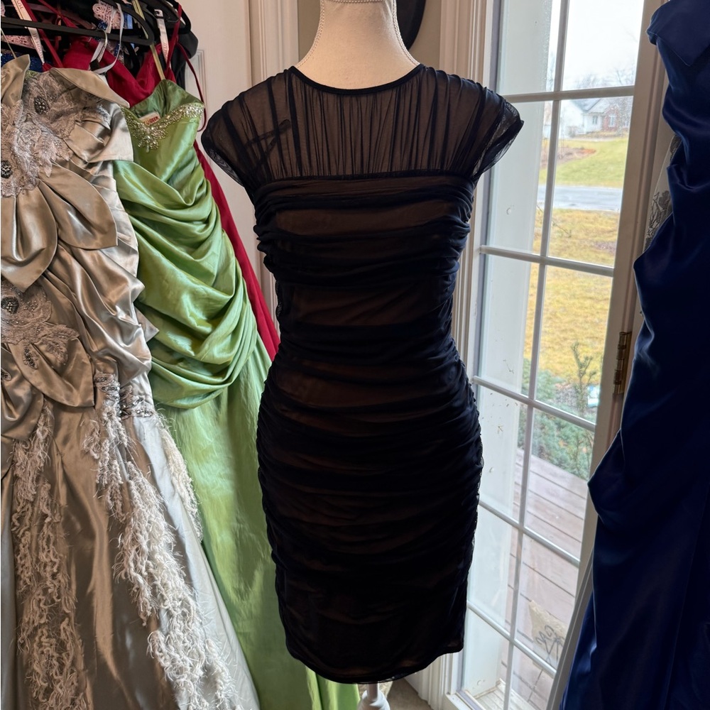 Dress designer -Tadashi Shoji Black Sheer Ruched Mini Dress